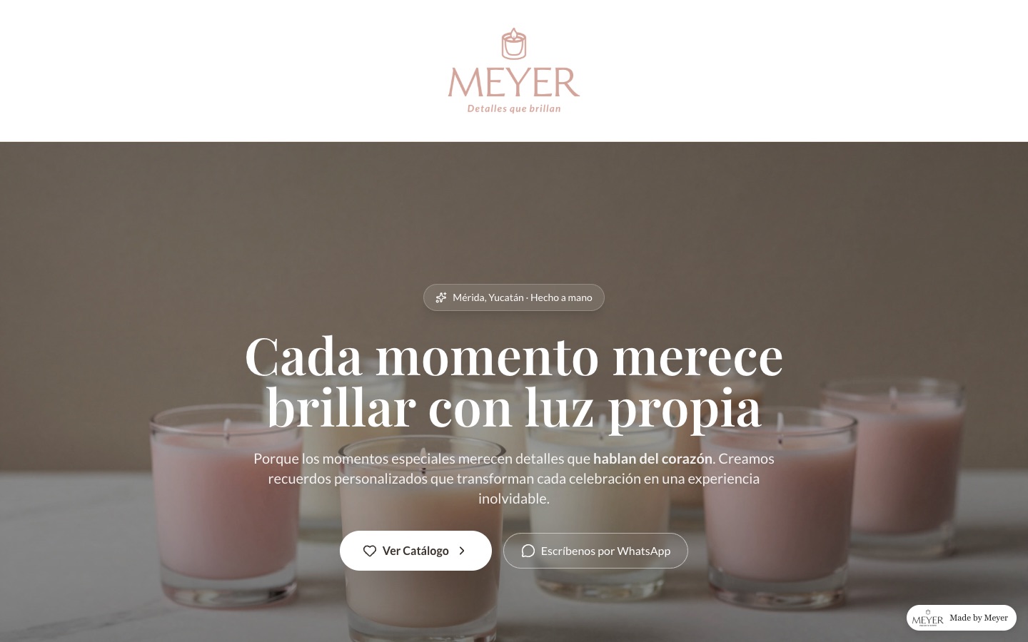 Página de inicio de Meyer